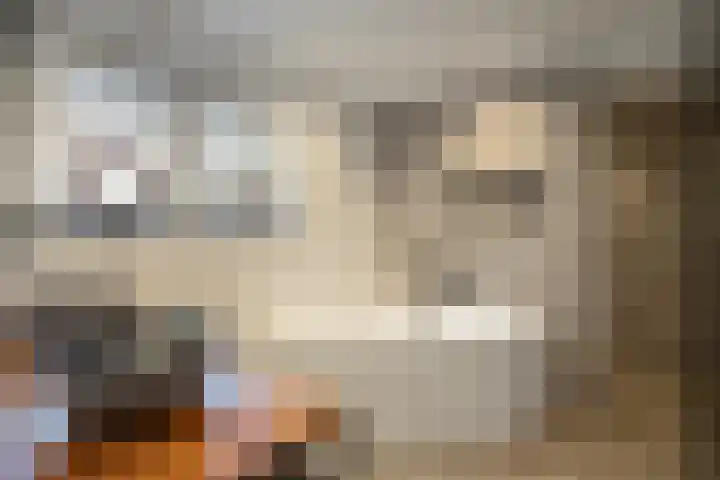 Heerbaan 64 Posterholt thumbnail 16