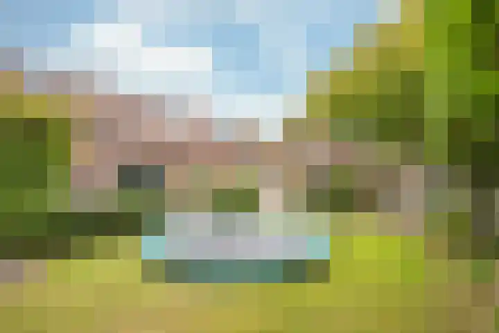 Heerbaan 64 Posterholt thumbnail 32