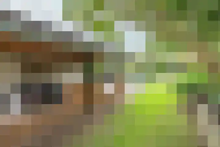 Heerbaan 64 Posterholt thumbnail 35