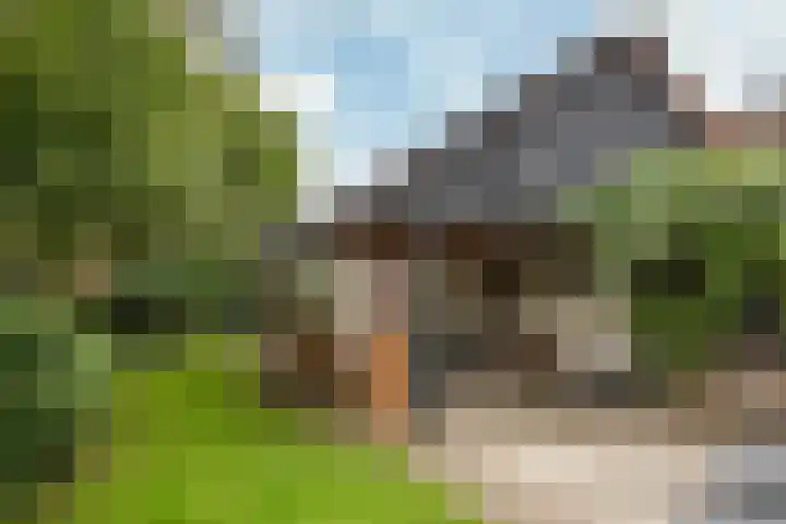 Heerbaan 64 Posterholt thumbnail 36