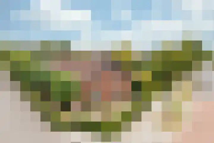 Heerbaan 64 Posterholt thumbnail 45