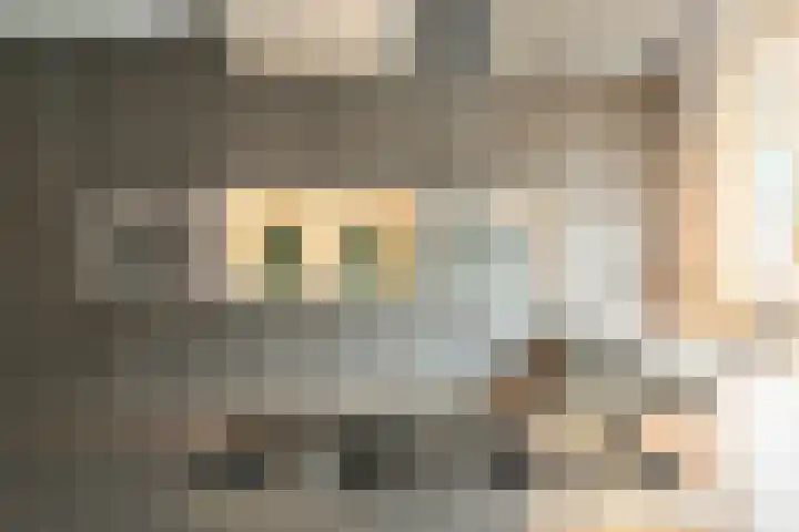 Heerbaan 64 Posterholt thumbnail 9