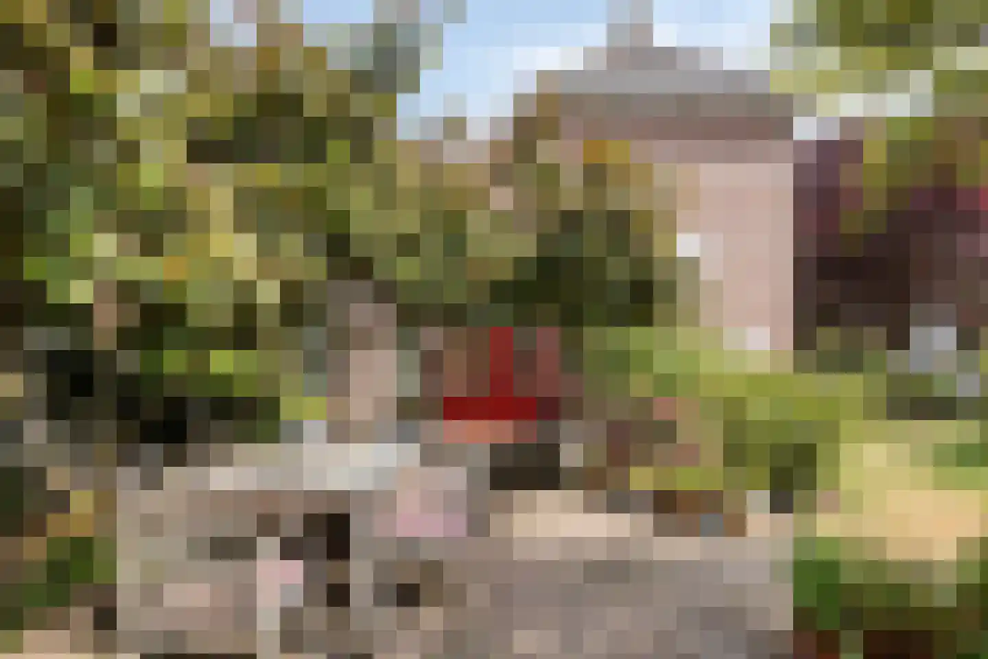 Heerbaan 76 Millingen aan de Rijn thumbnail 11