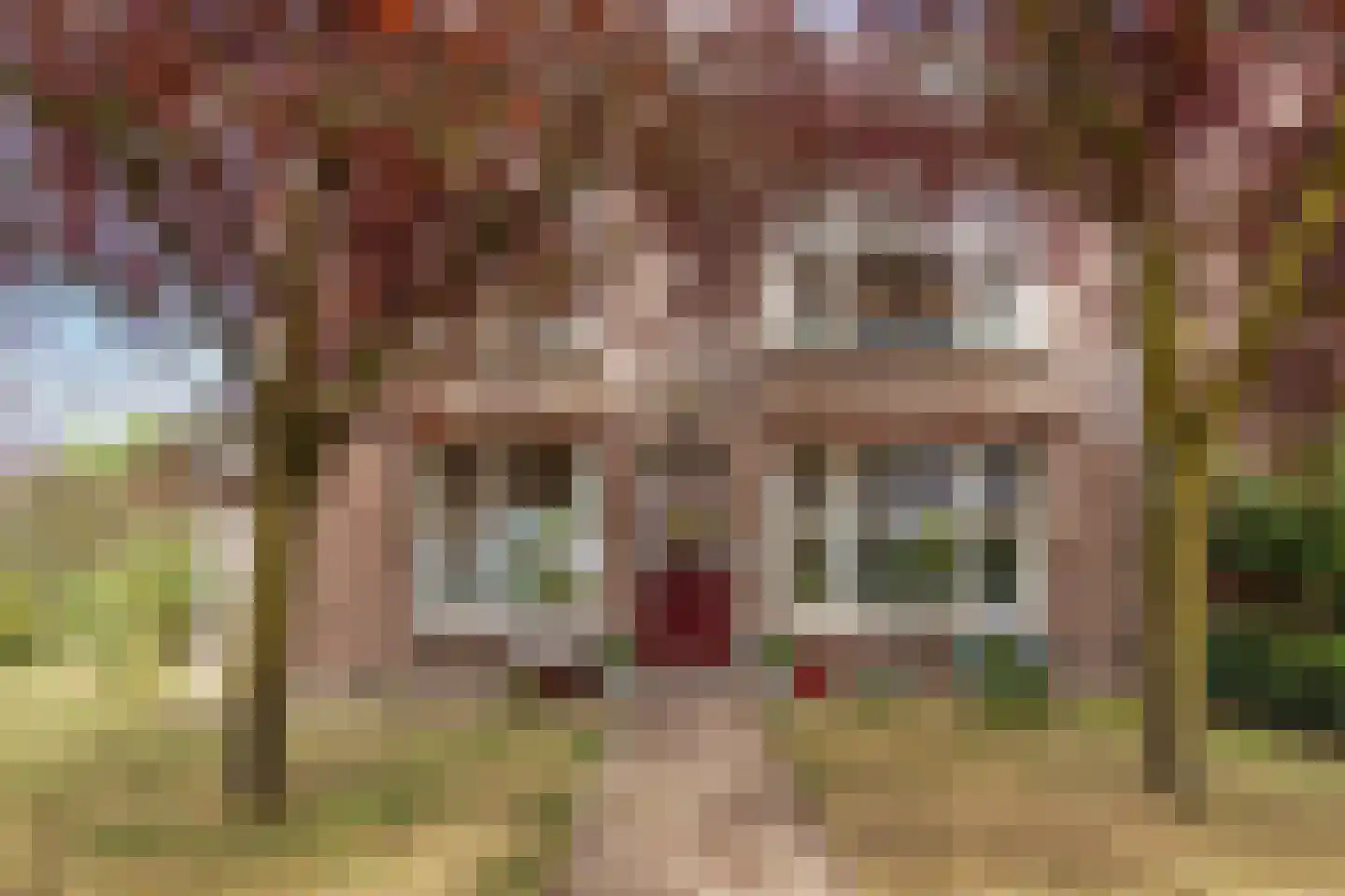 Heerbaan 76 Millingen aan de Rijn foto 2