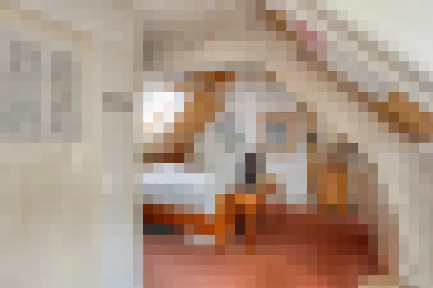 Heerbaan 76 Millingen aan de Rijn thumbnail 36