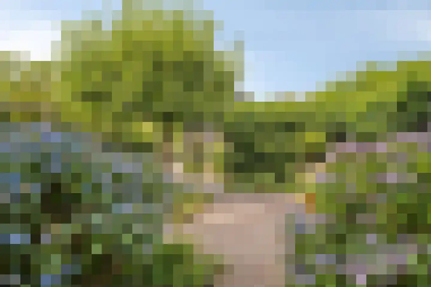 Heerbaan 76 Millingen aan de Rijn thumbnail 39