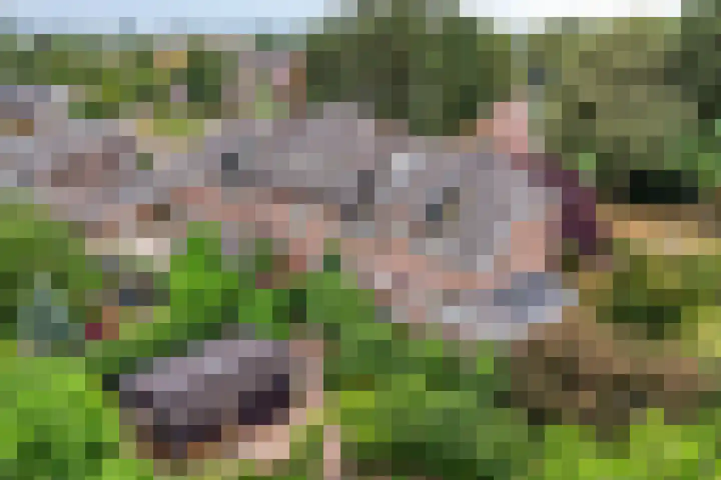 Heerbaan 76 Millingen aan de Rijn thumbnail 4