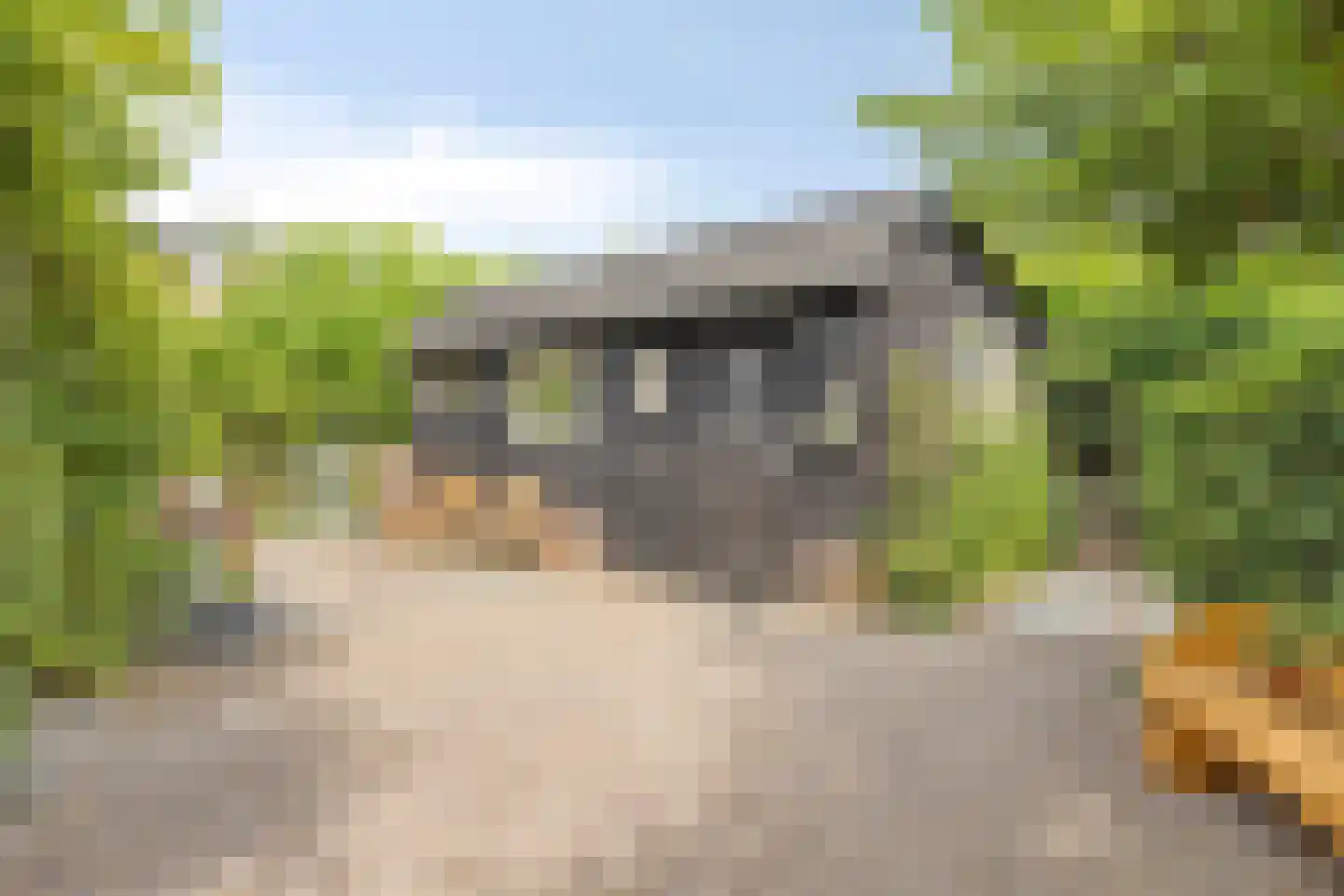 Heerbaan 76 Millingen aan de Rijn thumbnail 40