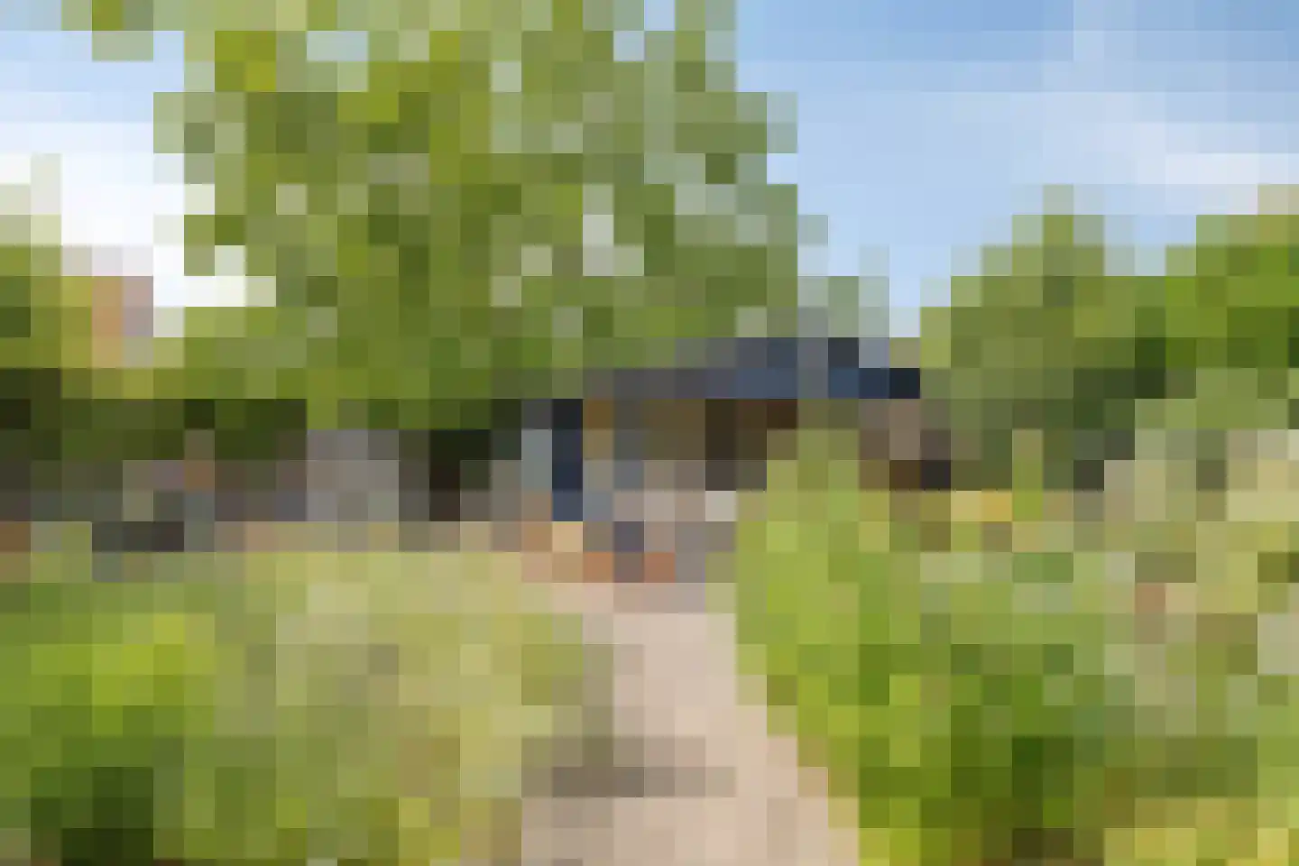 Heerbaan 76 Millingen aan de Rijn thumbnail 42
