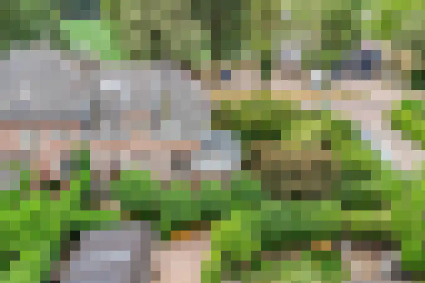 Heerbaan 76 Millingen aan de Rijn thumbnail 43