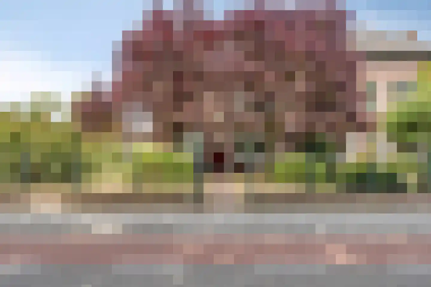 Heerbaan 76 Millingen aan de Rijn thumbnail 6