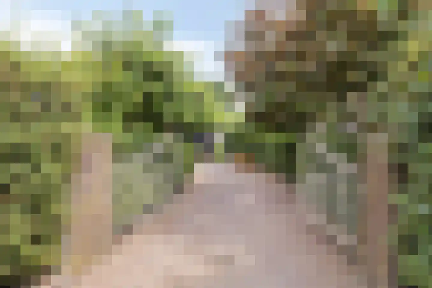 Heerbaan 76 Millingen aan de Rijn thumbnail 7