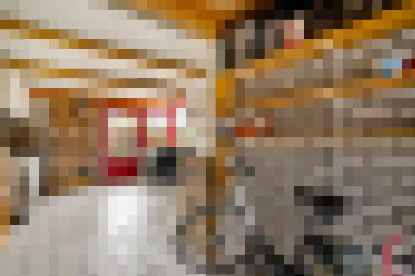 Heerbaan 9 Heel thumbnail 19