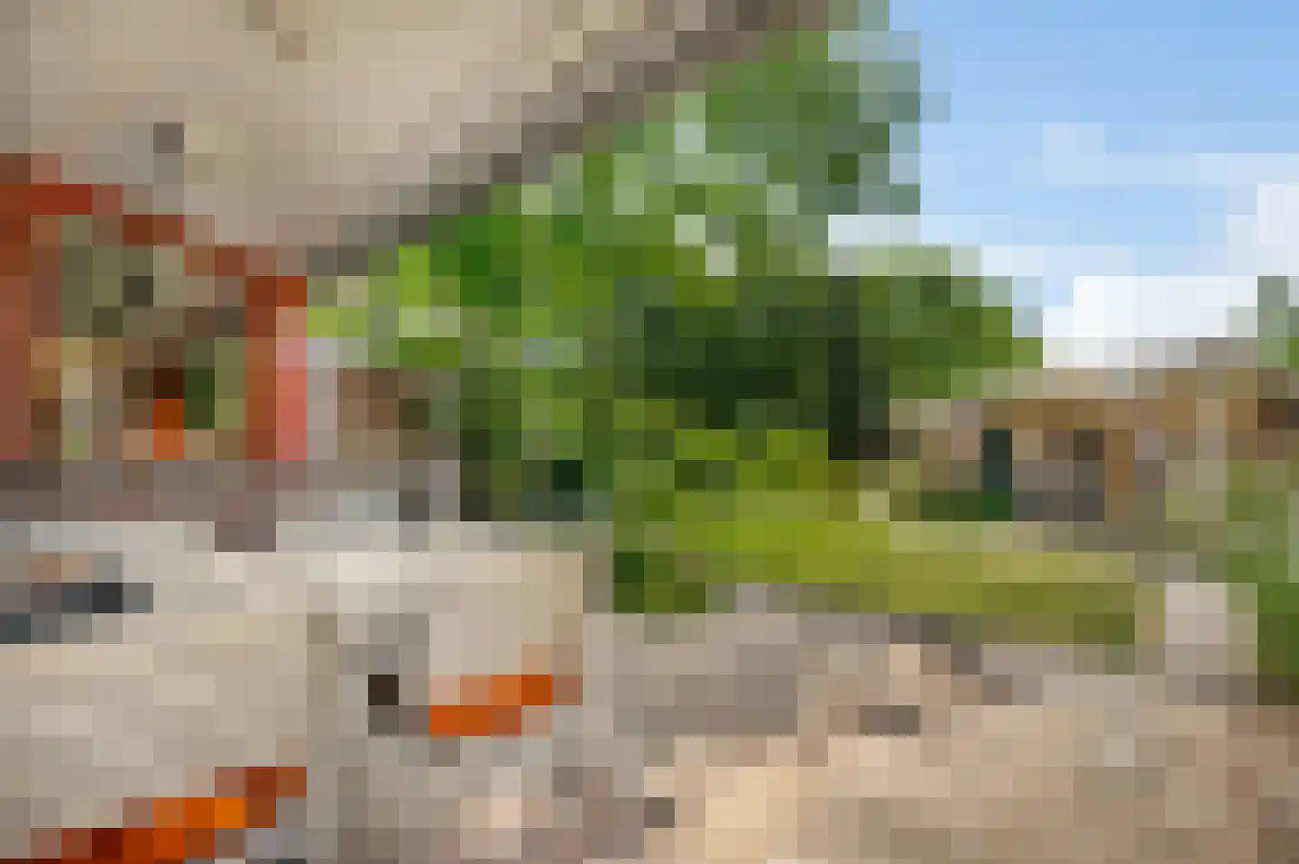 Heerbaan 9 Heel thumbnail 21