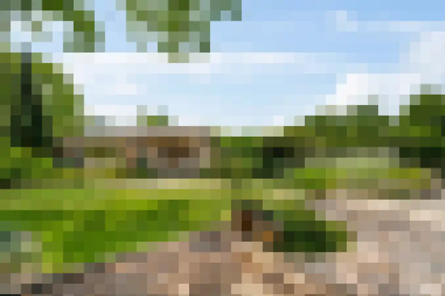 Heerbaan 9 Heel thumbnail 22
