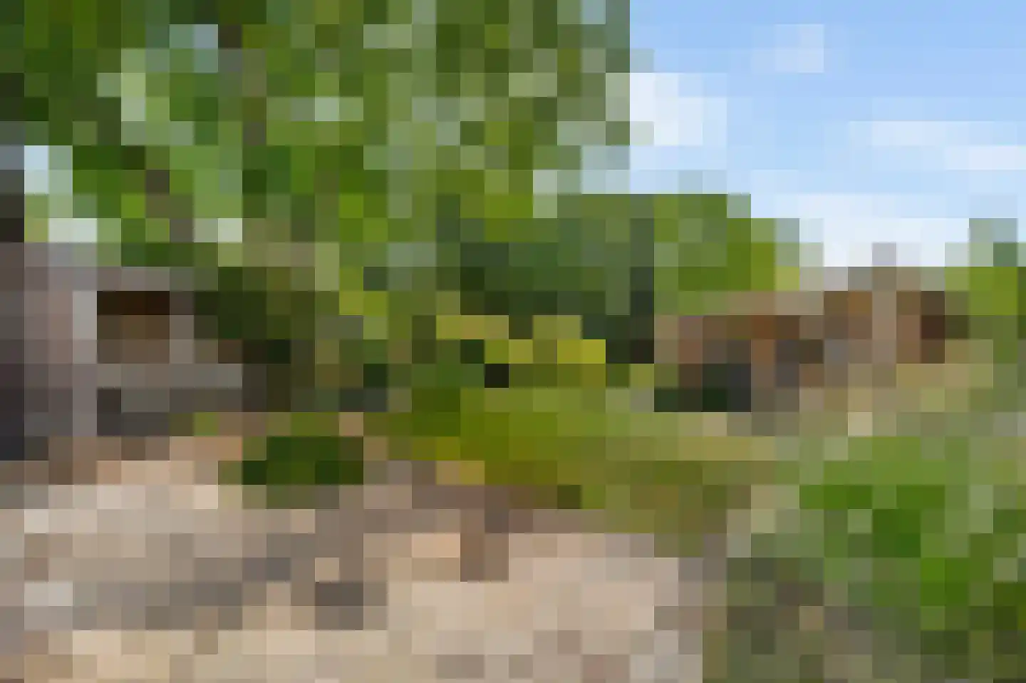 Heerbaan 9 Heel thumbnail 23