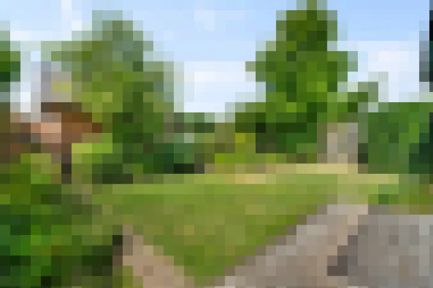Heerbaan 9 Heel thumbnail 24