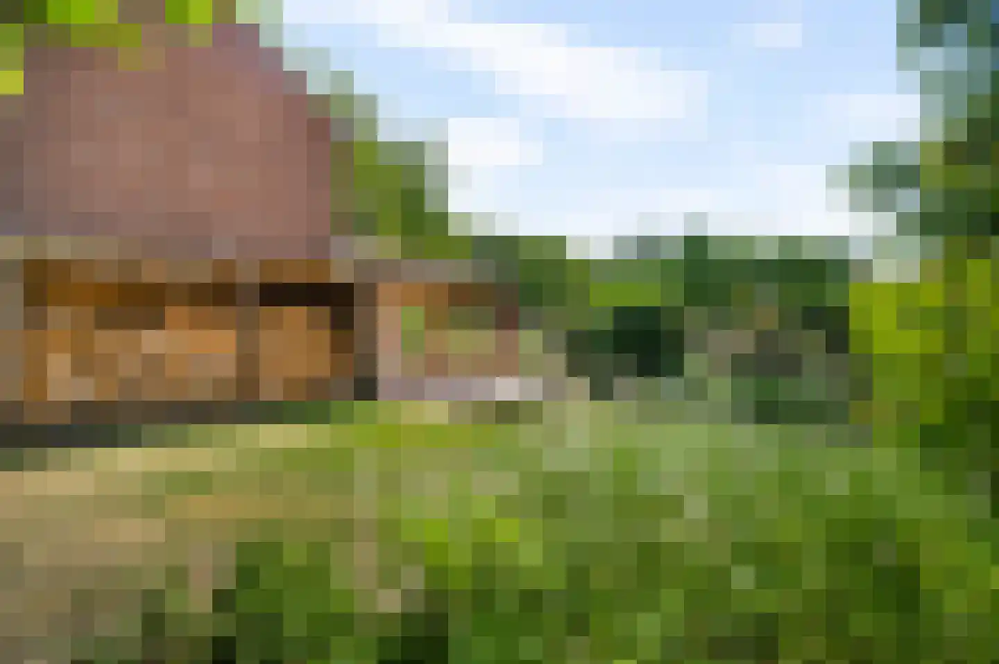 Heerbaan 9 Heel thumbnail 25