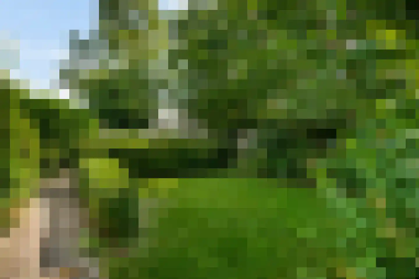 Heerbaan 9 Heel thumbnail 30