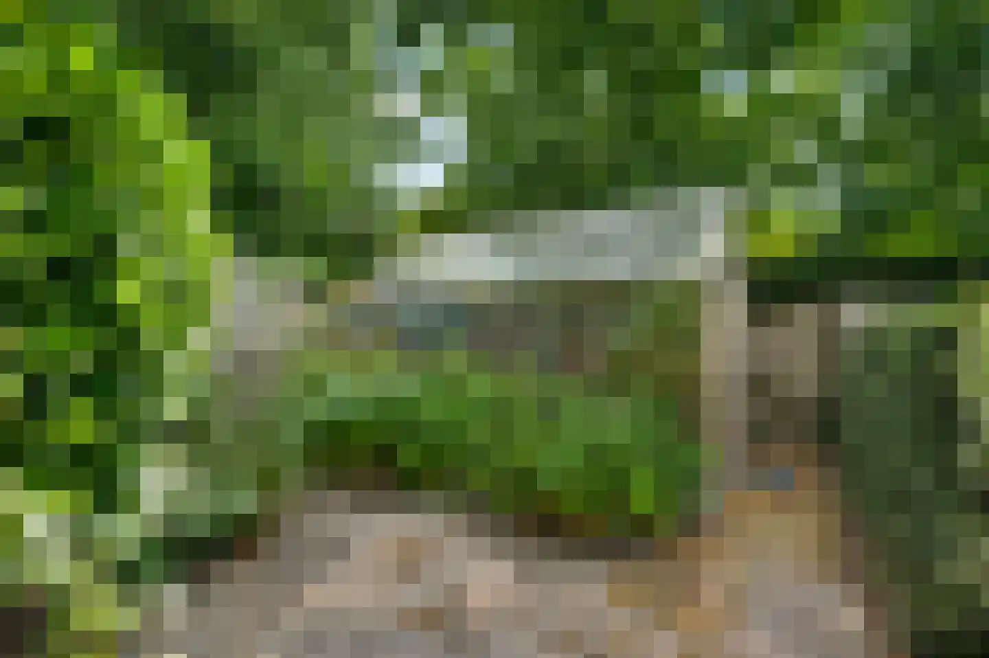 Heerbaan 9 Heel thumbnail 31