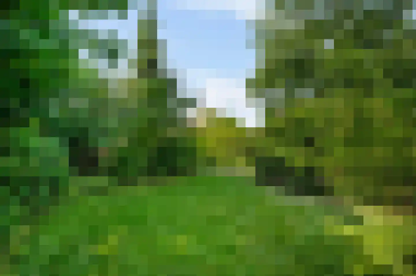 Heerbaan 9 Heel thumbnail 32