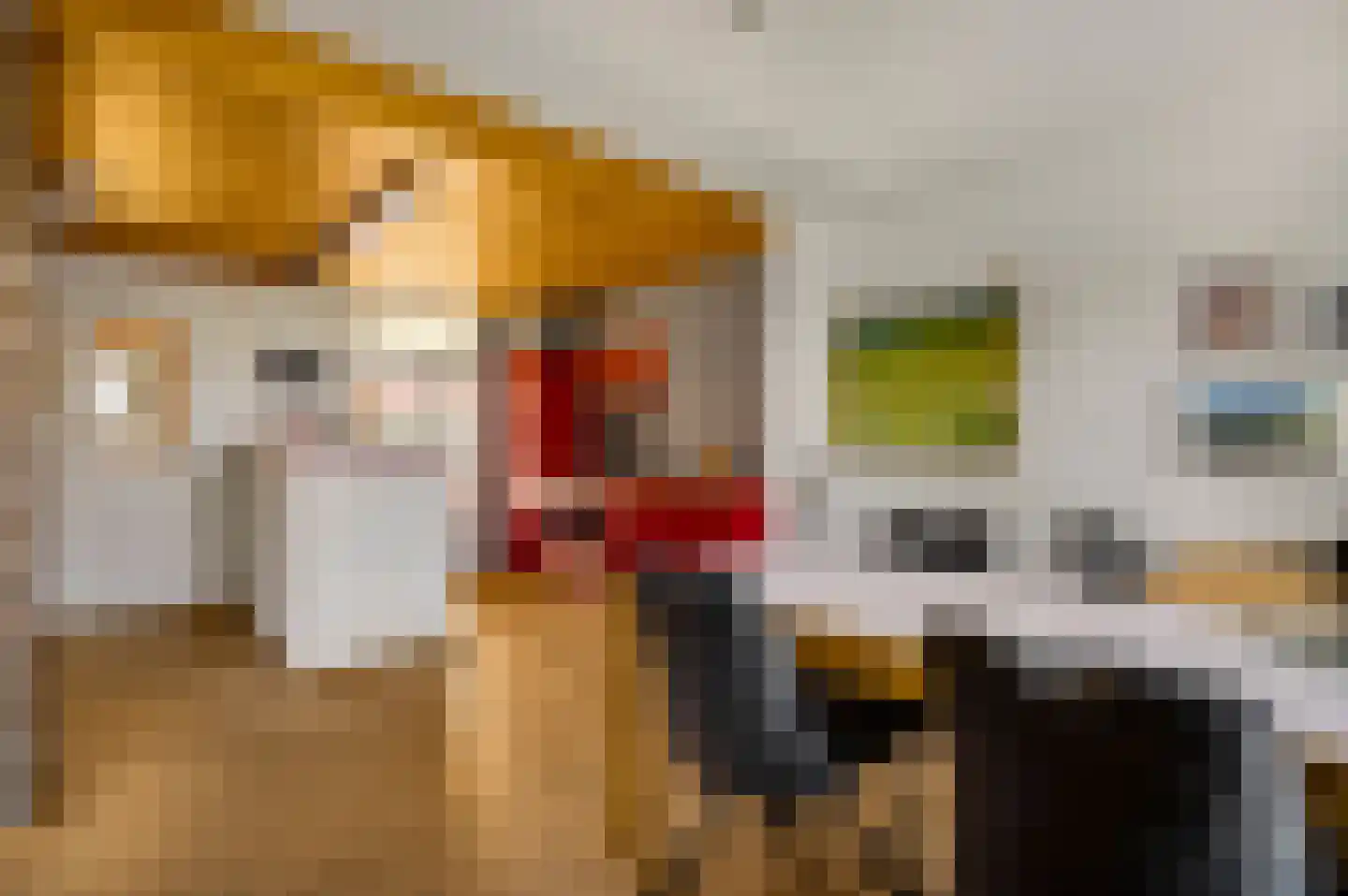 Heerbaan 9 Heel thumbnail 8