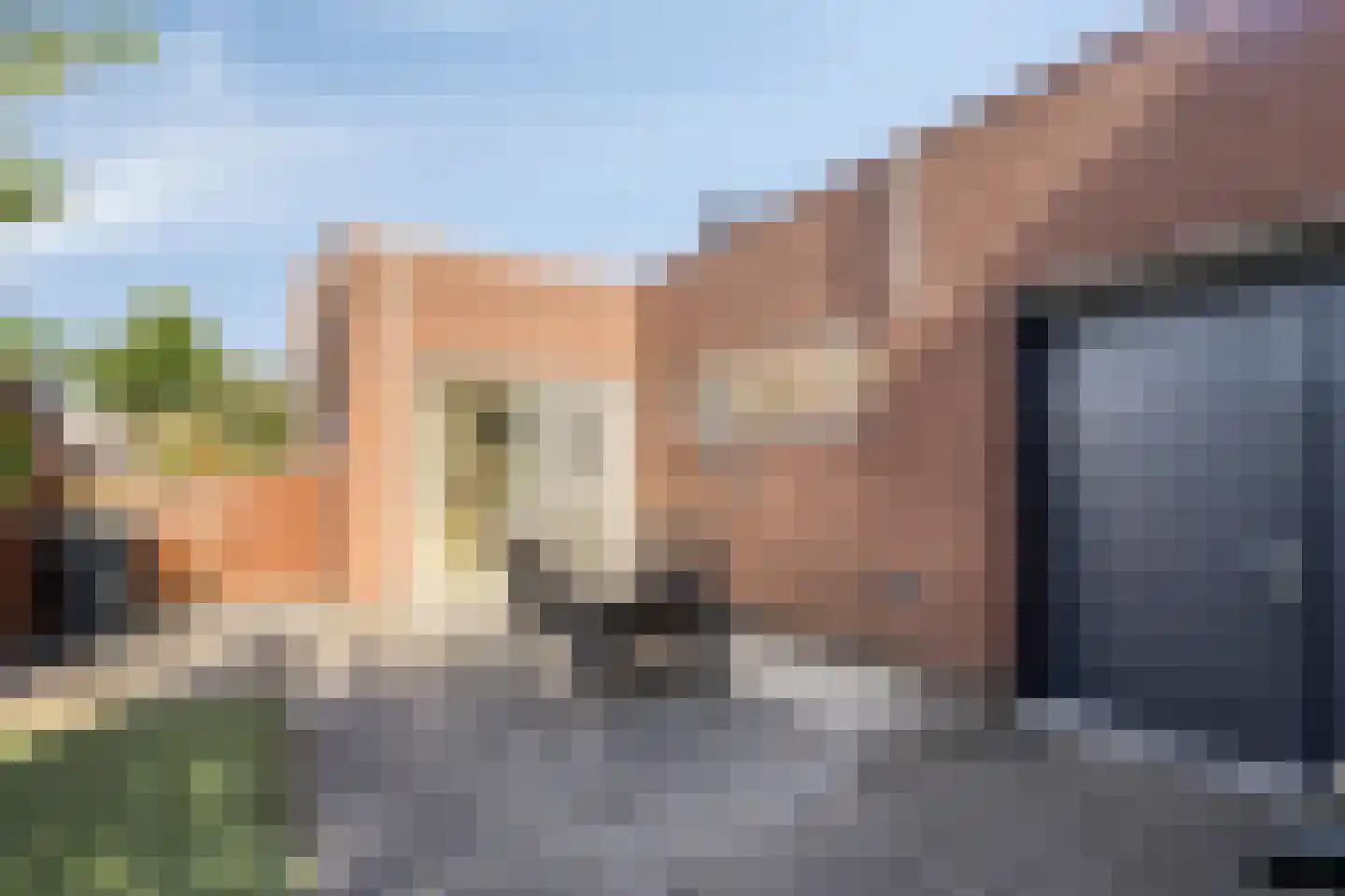 Heerbaan 9 Posterholt thumbnail 31