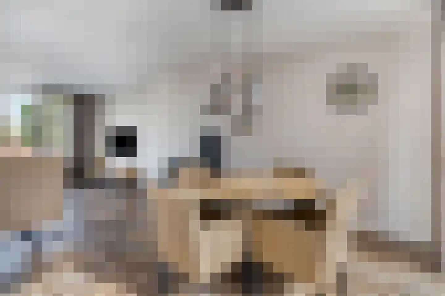 Heerbaan 9 Posterholt thumbnail 5