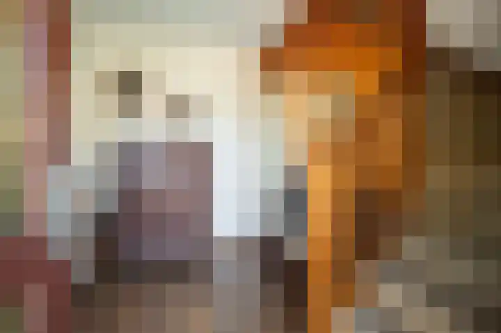 Heerbaan 97 Posterholt thumbnail 12