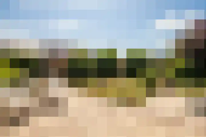 Heerbaan 97 Posterholt thumbnail 26