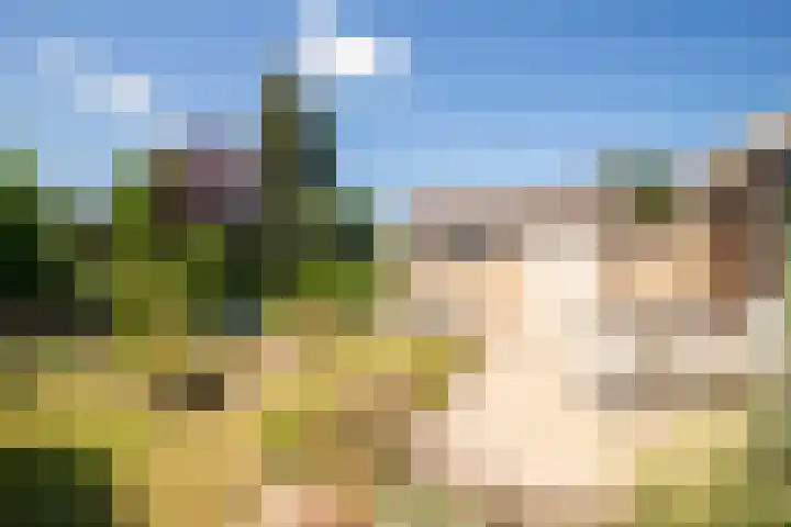 Heerbaan 97 Posterholt thumbnail 27