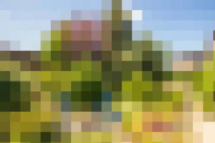 Heerbaan 97 Posterholt thumbnail 28