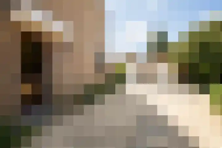 Heerbaan 97 Posterholt thumbnail 31
