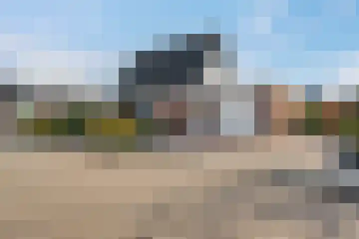 Heerd 33 Delfzijl thumbnail 10
