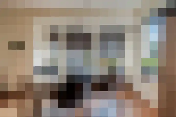Heerd 33 Delfzijl thumbnail 18