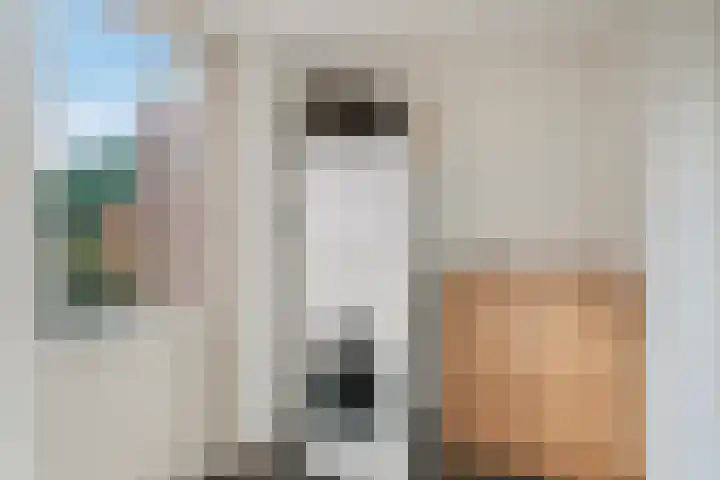 Heerd 33 Delfzijl thumbnail 22