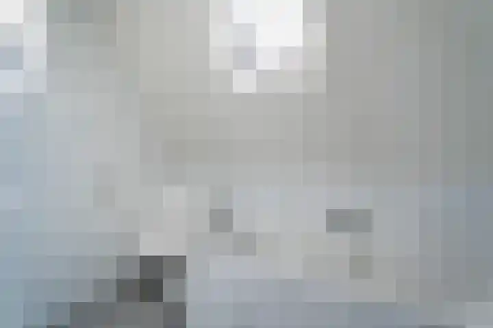 Heerd 33 Delfzijl thumbnail 31