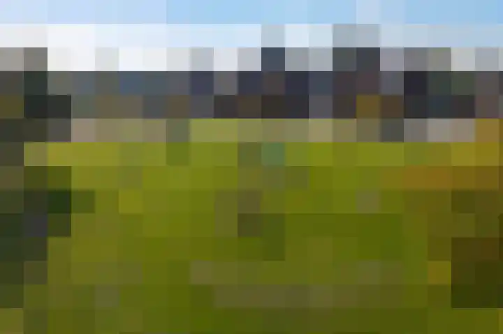 Heerd 33 Delfzijl thumbnail 41