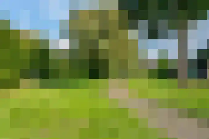 Heerd 33 Delfzijl thumbnail 42