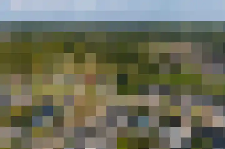 Heerd 33 Delfzijl thumbnail 6
