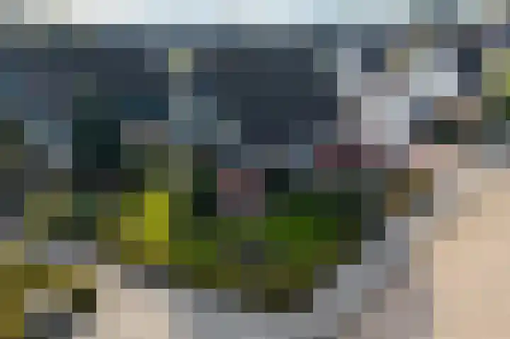 Heerd 33 Delfzijl thumbnail 7
