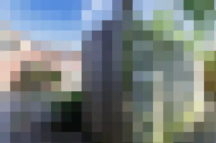 Heerdelaan 10 Zuidlaren thumbnail 31