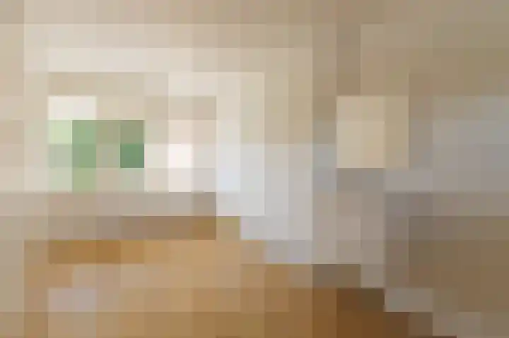 Heerdelaan 10 Zuidlaren thumbnail 59