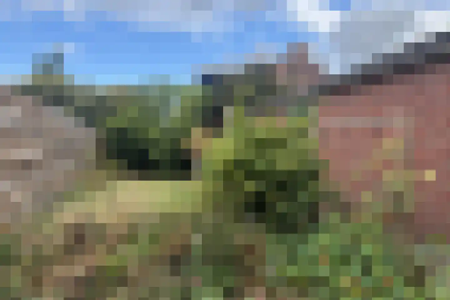 Heerdelaan 25 Zuidlaren thumbnail 19
