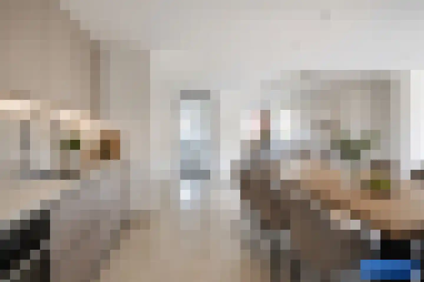 Heerdelaan 5 Zuidlaren thumbnail 23
