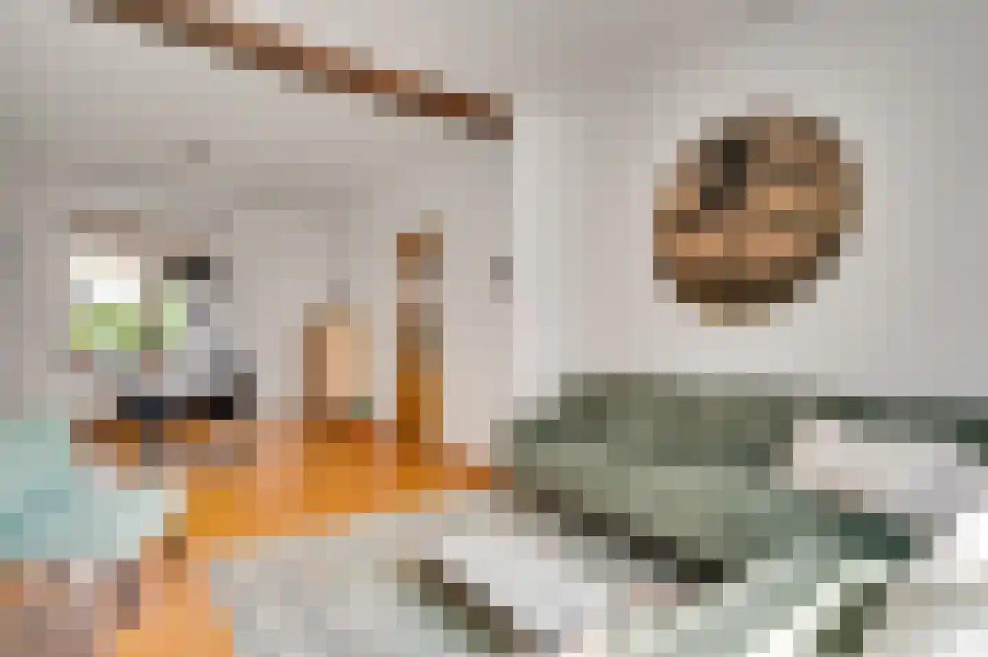 Heerder Groenweg 39 Maastricht thumbnail 5