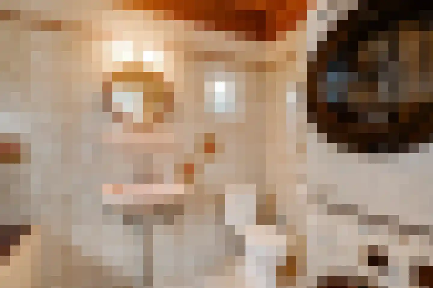 Heerder Groenweg 39 Maastricht thumbnail 8