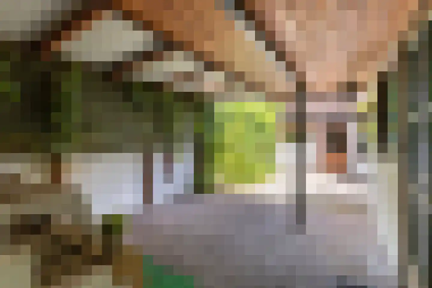 Heerderweg 10 Maastricht thumbnail 19