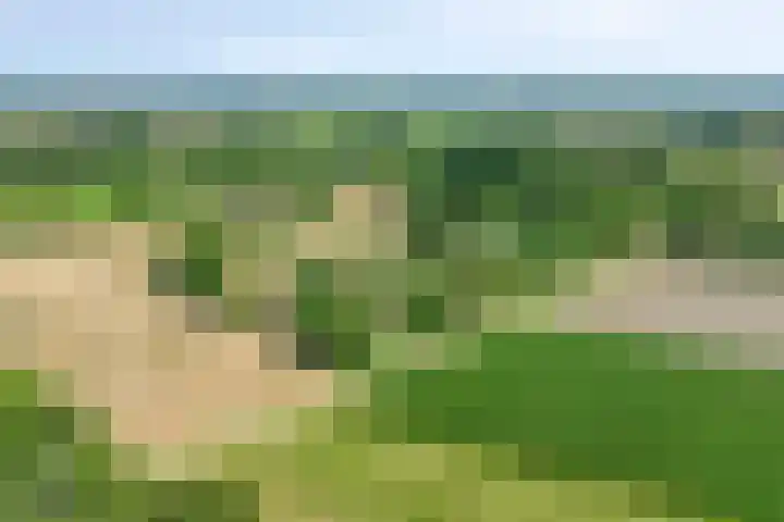 Heerderweg 16 Epe thumbnail 43