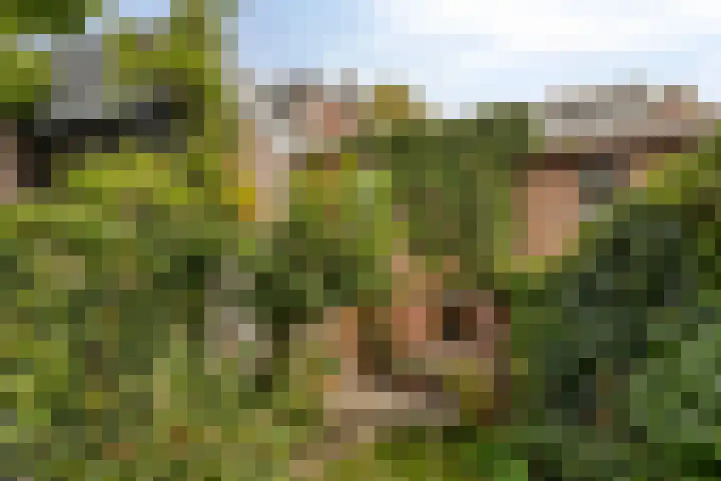 Heerderweg 8 Maastricht thumbnail 21